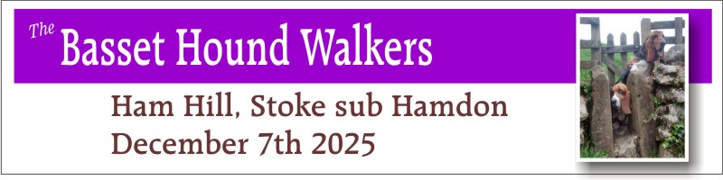 Basset Hound Walkers at Ham Hill